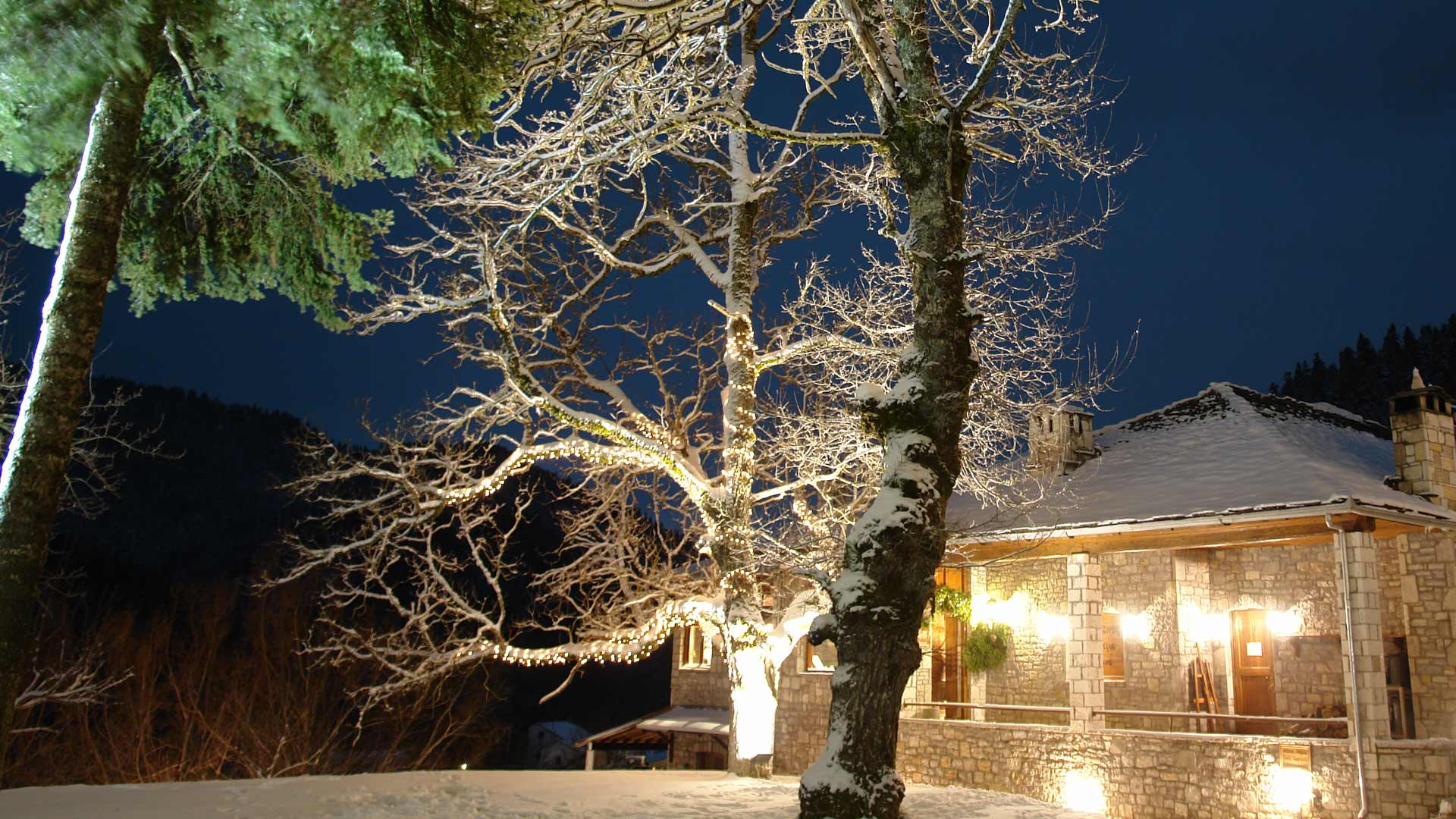 Exterior night view of the restaurant